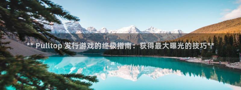 顺盈娱乐登录平台下载：** Pulltop 发行游戏的终极指南：获得最大曝光的技巧**