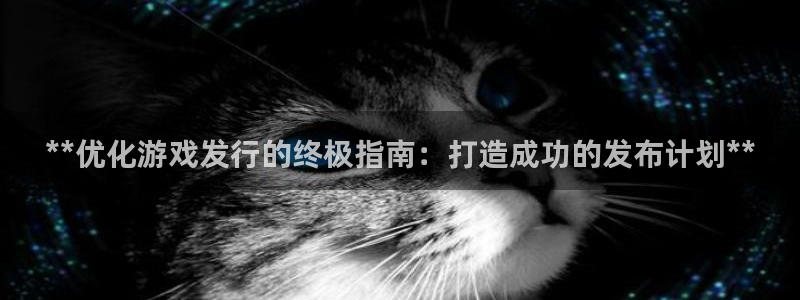 顺盈平台注册网址查询：**优化游戏发行的终极指南：打造成功的发布计划**