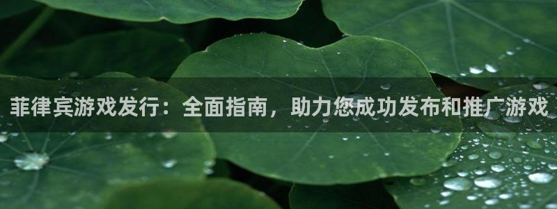 顺盈娱乐平台