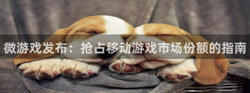 顺盈平台注册资金多少合适：微游戏发布：抢占移动游戏市场份额的指南