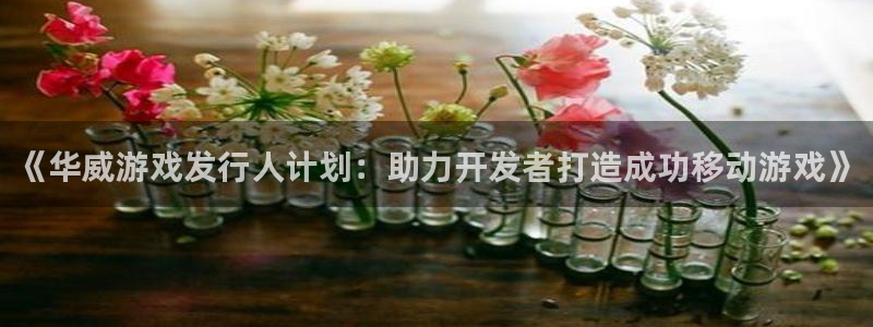 顺盈平台注册资金多少亿：《华威游戏发行人计划：助力开发者打造成功移动游戏》