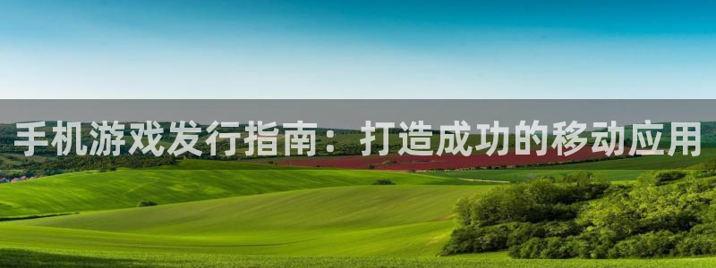 顺赢是什么意思：手机游戏发行指南：打造成功的移动应用