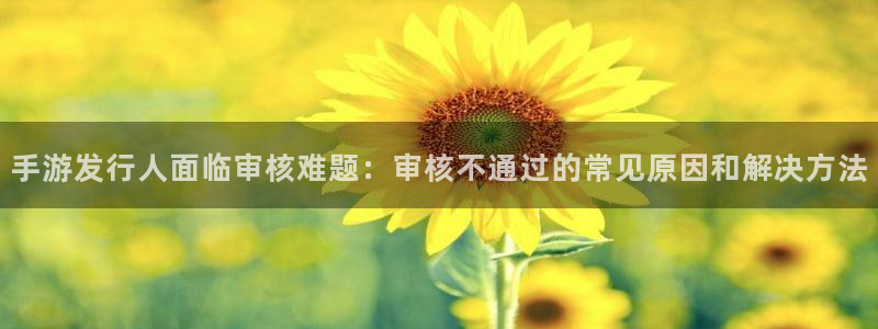顺盈娱乐的员工待遇怎么样：手游发行人面临审核难题：审核不通过的常见原因和解决方法