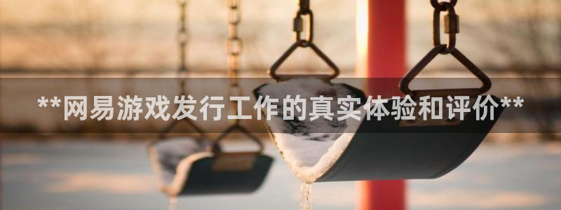 顺盈平台代理：**网易游戏发行工作的真实体验和评价**