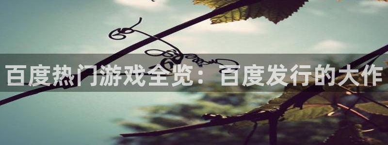 顺盈平台注册资金多少钱：百度热门游戏全览：百度发行的大作