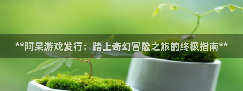 顺盈娱乐登录平台下载安装：**阿呆游戏发行：踏上奇幻冒险之旅的终极指南**
