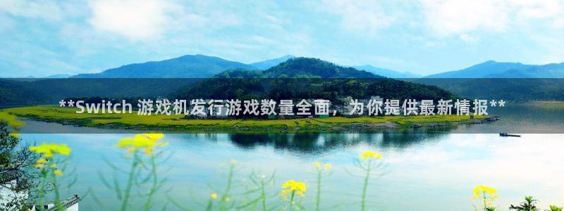 顺盈平台代理：**Switch 游戏机发行游戏数量全面，为你提供最新情报**