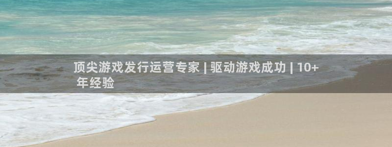 顺盈平台怎么注册：顶尖游戏发行运营专家 | 驱动游戏成功 | 10+
 年经验