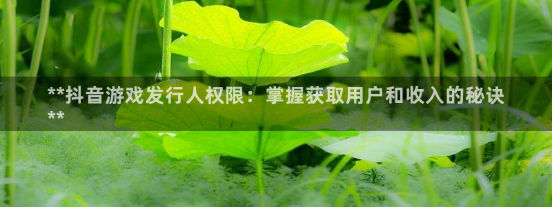 顺盈娱乐平台提现被关闭怎么回事啊苹果手机：**抖音游戏发行人权限：掌握获取用户和收入的秘诀
**