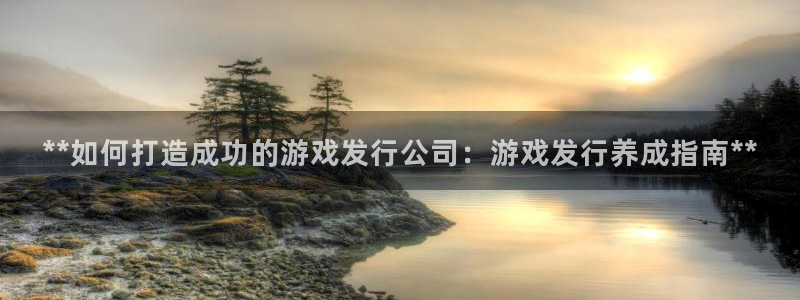 顺盈app是真的吗：**如何打造成功的游戏发行公司：游戏发行养成指南**