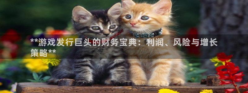 顺盈娱乐母7O777：**游戏发行巨头的财务宝典：利润、风险与增长
策略**