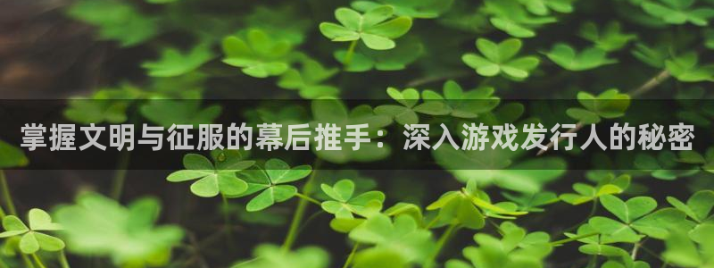 顺盈注册：掌握文明与征服的幕后推手：深入游戏发行人的秘密