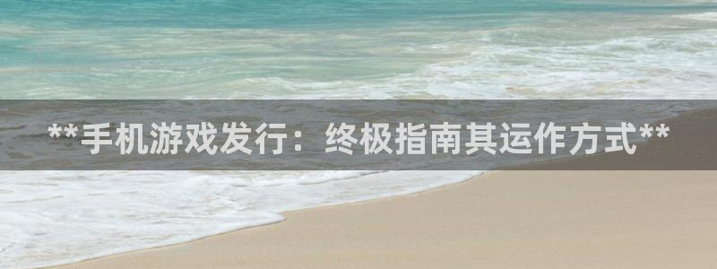 顺赢网络科技有限公司：**手机游戏发行：终极指南其运作方式**