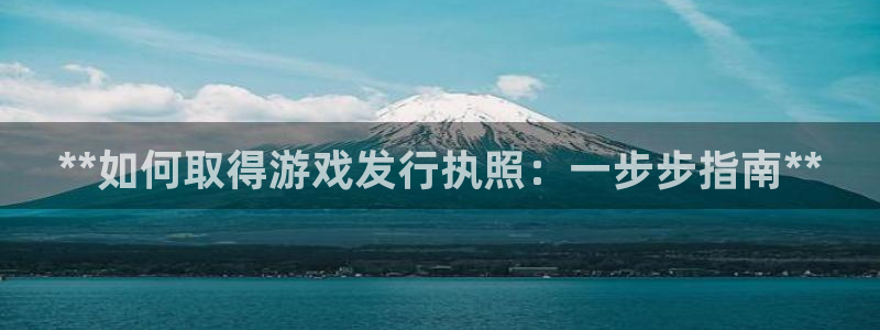 顺盈娱乐龙虎和平台：**如何取得游戏发行执照：一步步指南**