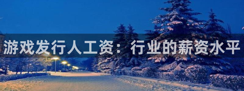 顺盈娱乐登录平台是什么：游戏发行人工资：行业的薪资水平