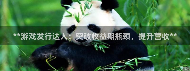 顺盈网络科技有限公司招聘：**游戏发行达人：突破收益期瓶颈，提升营收**