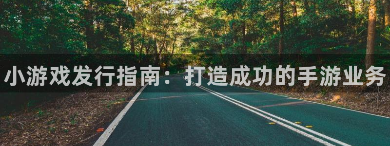 顺盈娱乐够7O777：小游戏发行指南：打造成功的手游业务