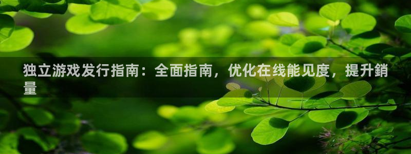 顺盈娱乐3.8.2.2.2.3安：独立游戏发行指南：全面指南，优化在线能见度，提升銷
量