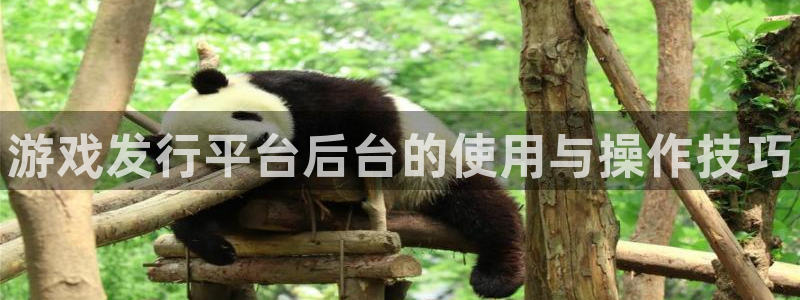 顺盈娱乐违法吗是真的吗