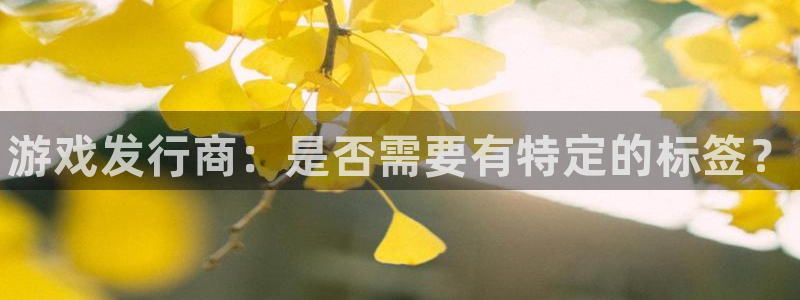 顺盈娱乐的员工待遇怎么样：游戏发行商：是否需要有特定的标签？